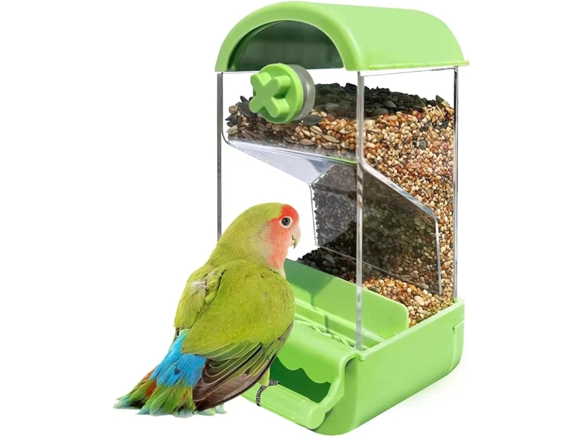 Alimentador automático AQUAFORGE para pássaros, com poleiro, para pequenas aves