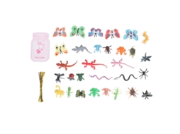 Conjunto Cartões Dia Namorados Decorativos Insetos