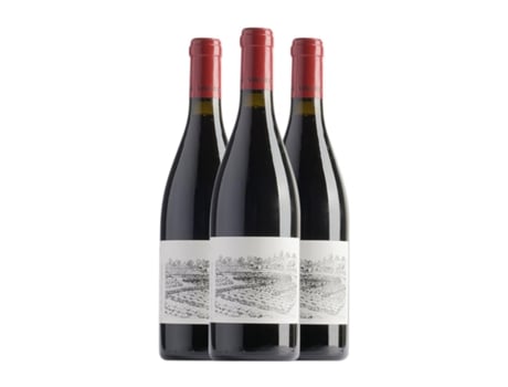 Vinho VIÑEDOS DO GABIAN Xanledo Ribeiro (0.75 L - 3 Unidades)