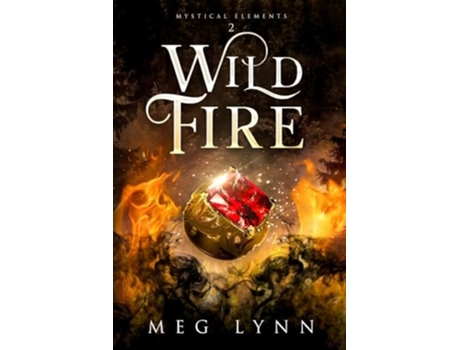 Livro Wildfire de Meg Lynn (Inglês)