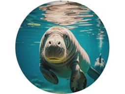 Almofadas Com Orelhas De Peixe Boi Para Cadeiras Animais, Almofada Redonda De Algodão Viscoelástico Para Cadeiras Jantar