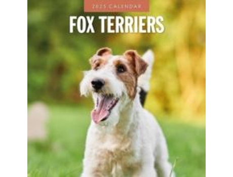 Livro Fox Terriers 2025 Square Wall Calendar de Red Robin (Inglês)