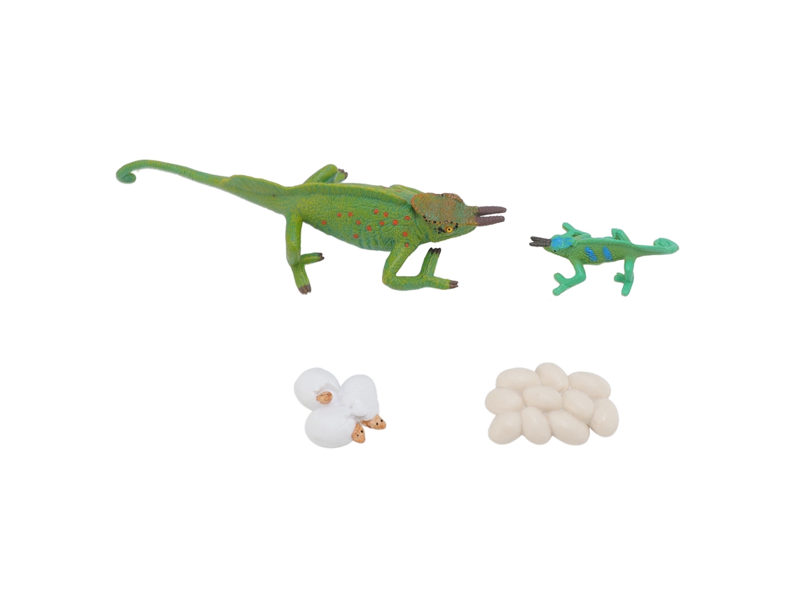Mali 4pcs Modelo de Animal de Simulação Brinquedo Educativo Ciclo de Crescimento para Crianças