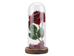 Flor Preservada Luz Led Vidro Base Madeira Worten