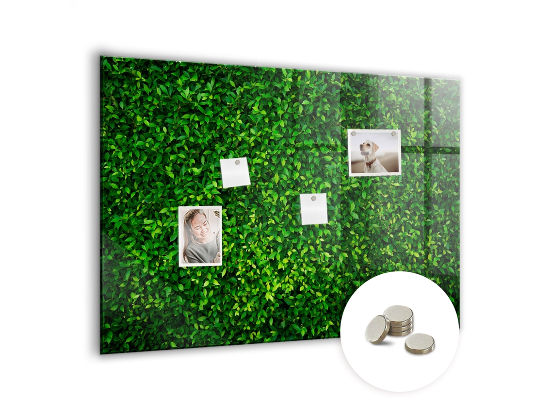 Quadro De Vidro Magnético Folhas De Cerca Viva Para A Sala De Estar Espelharte (100x70 Cm)