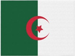 Manta de Flanela Ultramacia Phayah com Estampa da Bandeira Argélia Ideal para Sofá Cama Sala Estar Escritório
