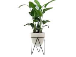 Relógio de Parede em Forma de Flor Primerox para Sala e Escritório