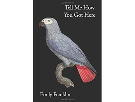 Livro Tell Me How You Got Here de Emily Franklin (Inglês)