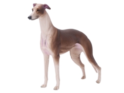 Primerox modelo de Greyhound Marrom Simulado Brinquedo Decorativo para Mesa Presente Infantil