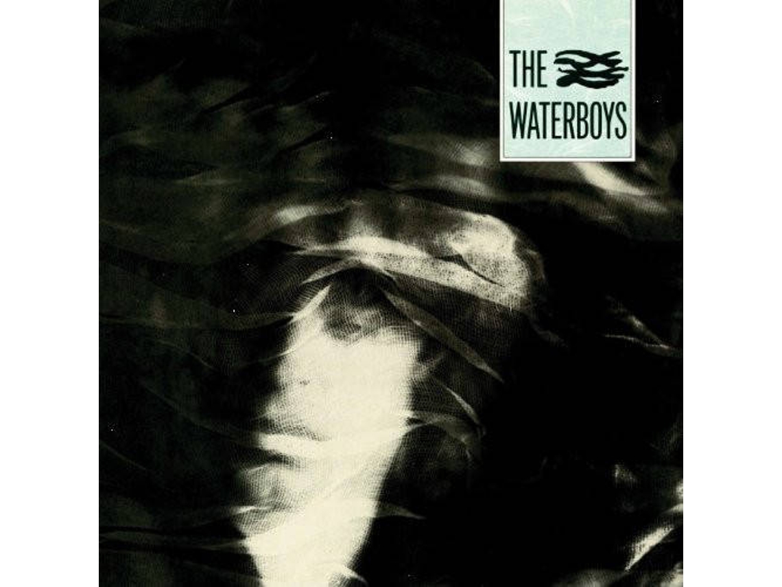 Vinil Waterboys - The Waterboys