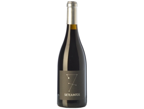 Microbio Ismael Gozalo Sietejuntos Syrah Crianza 75 cl