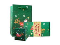 Caixa De Presente De Natal Pop Up Em Dinheiro Caixa Surpresa Personalizada Com Foto Presente De Natal Para Crianças E Adultos Verde Aquaforge