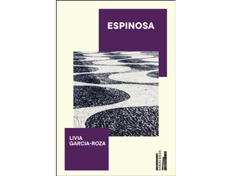 Livro Espinosa De Livia Garcia-roza (português Do Brasil)