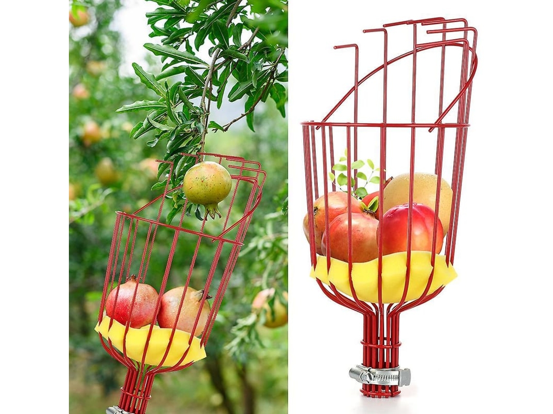 2026-ferramenta De Colheita De Frutas Com Cesta Giratória Compatível Com Maçãs Zyg Rojo