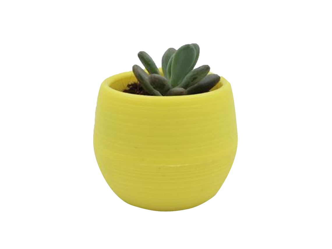 Vaso de Plástico para Suculentas com Drenagem Primerox