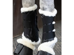 Botas para Equitação PREMIER EQUINE (Unissexo - Preto - L)