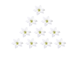 Cabeças de Poinsétia Branca Artificial para Natal, Pack com 10 Peças LAXISCREED