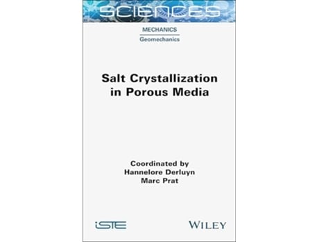 Livro Salt Crystallization in Porous Media de Hannelore Derluyn (Inglês - Capa Dura)