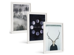 Conjunto De Pinturas Paisagem Florestal, Neblina, Lua, Crânio De Veado Espelharte (3 Peças 40x60 Cm)