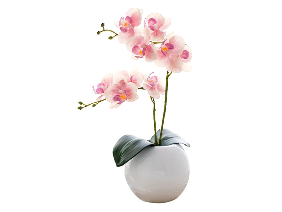 Eco Bottle com Phalaenopsis Light Pink, LAXISCREED