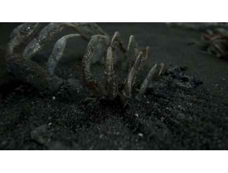 Jogo PS4 Death Stranding (Collector's Edition - M18) Jogo PS4 Death Stranding (Collector's Edition - M18)