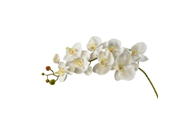 Laxiscreed Flor De Phalaenopsis Artificial Xianwen Com 9 Cabeças, Branca, Altura 104cm