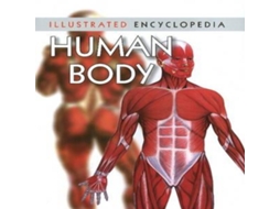 Livro Human Body de B Jain Publishers Pvt Ltd (Inglês)