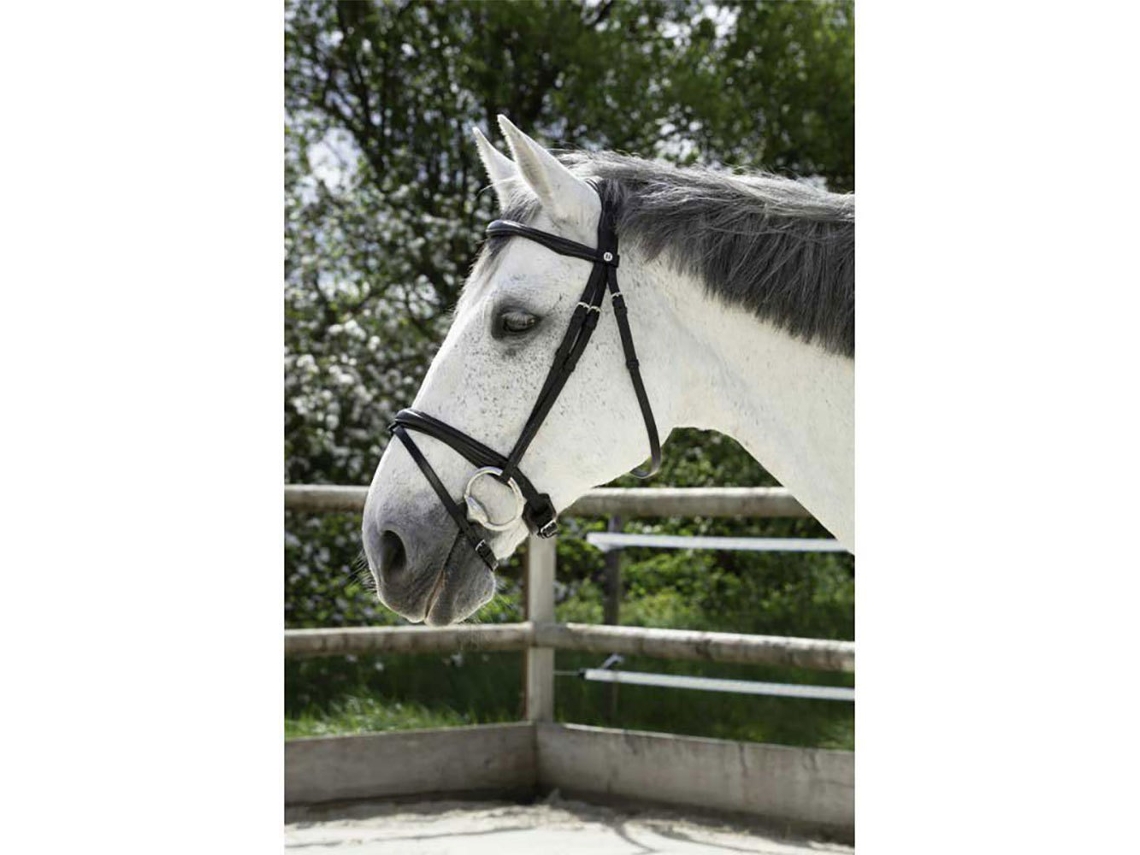 Cabeçada Combine Cinzento Cobnorton Equestrian