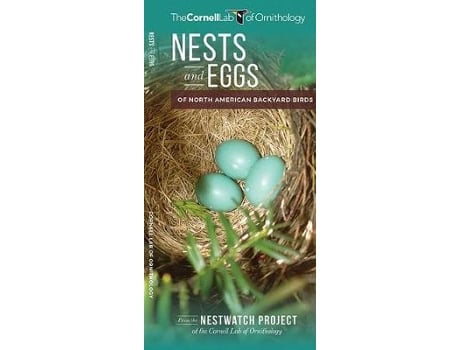 Livro nests and eggs of north american backyard birds de the cornell lab of ornithology,robyn bailey (inglês)