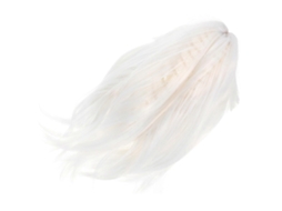 Peruca Bobo Feminina Curta e Lisa, Peruca de Cabelo Sintético de Fibra Resistente a Altas Temperaturas com Rede para Cabelo TAISHENGDA