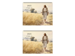 2pcs calendário de parede 2025 papel revestido | S/MARCA