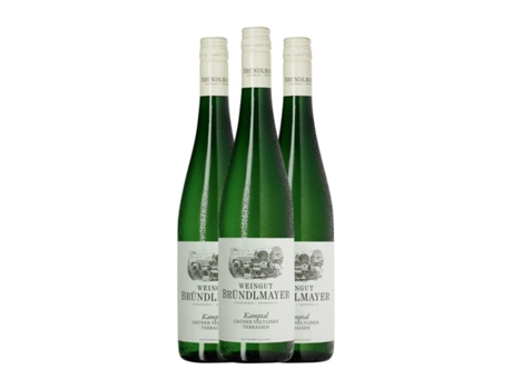 Vinho branco BRÜNDLMAYER Terrassen Grüner Veltliner Seco Kamptal (0.75 L - 3 Unidades)