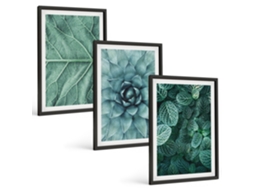Conjunto De Pinturas Close-ups De Plantas E Folhas Espelharte (3 Peças 40x60 Cm)