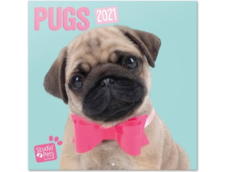 Calendário  Studio Pets Pugs (2021 - 30 x 30 cm)