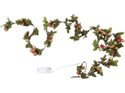 Luzes De Cordão Vime Em Formato Flor, Alimentadas Por Bateria, Com 20