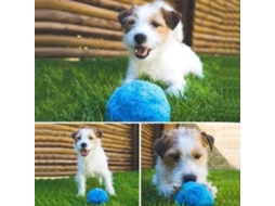 Brinquedo Interativo Primerox para Cães e Gatos com Capas de Pelúcia