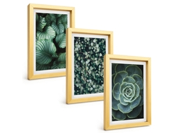 Composição De Quadros Folhas Verdes, Suculentas, Estilo Espelharte (3 Peças 20x30 Cm)