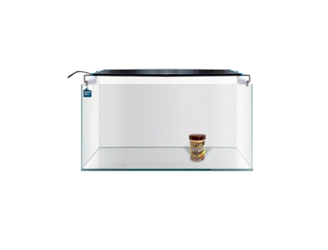 Aquário Urna Vidro sem moldura 60 L. + Luz Led