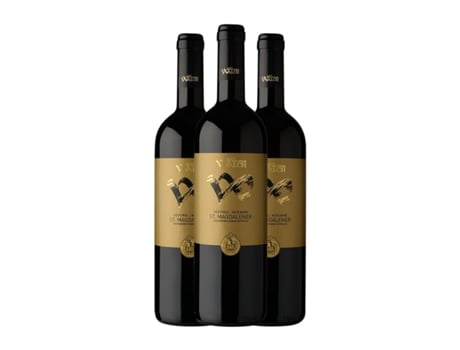 Vinho WILHELM WALCH St Magdalener Südtirol Alto Adige (0.75 L - 3 Unidades)