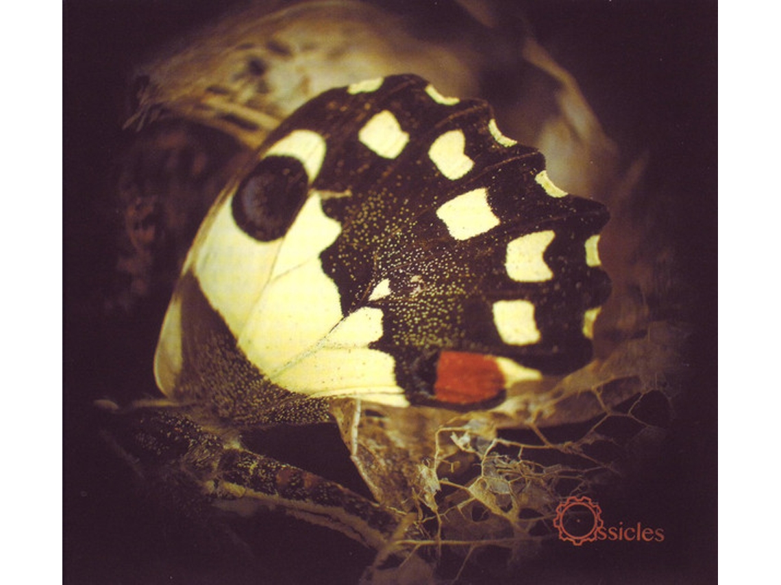 CD Ossicles - Music For Wastelands