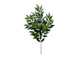 Ramos de Eucalipto Tridentata para Decoração Natural LAXISCREED