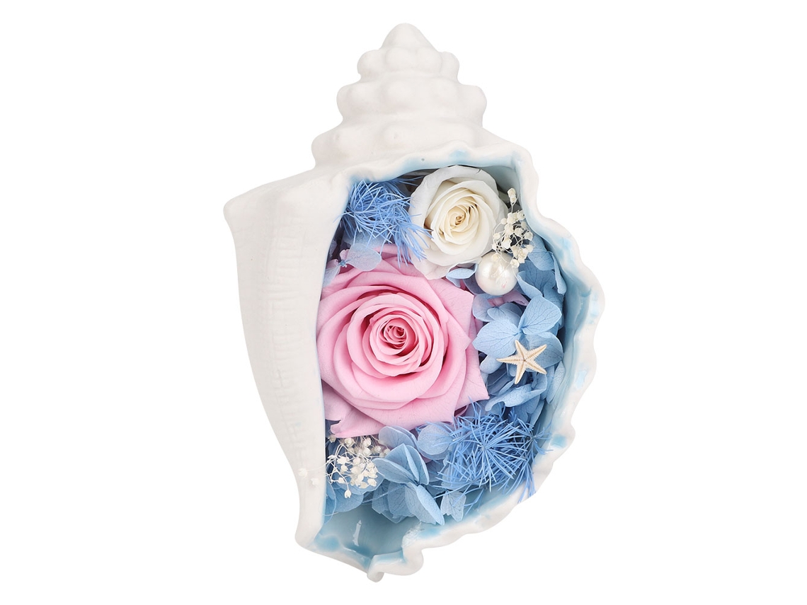 Presente Concha Pérola Rosa Eterna Decorativa Manual