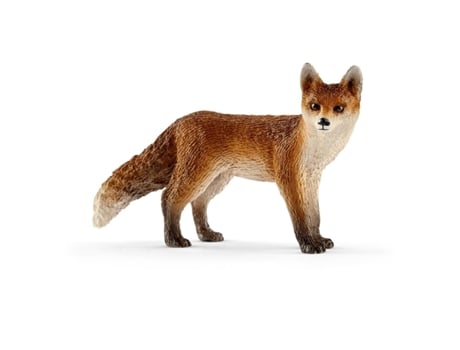 Raposa