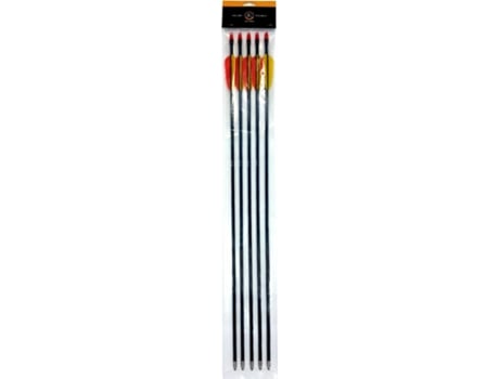 28’ Fibreglass Arrows Set Of 5 Poe Lang (d 055 B3)