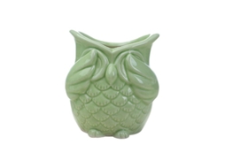 Vasos de Plantas de 1 Unidade ALLINLESS