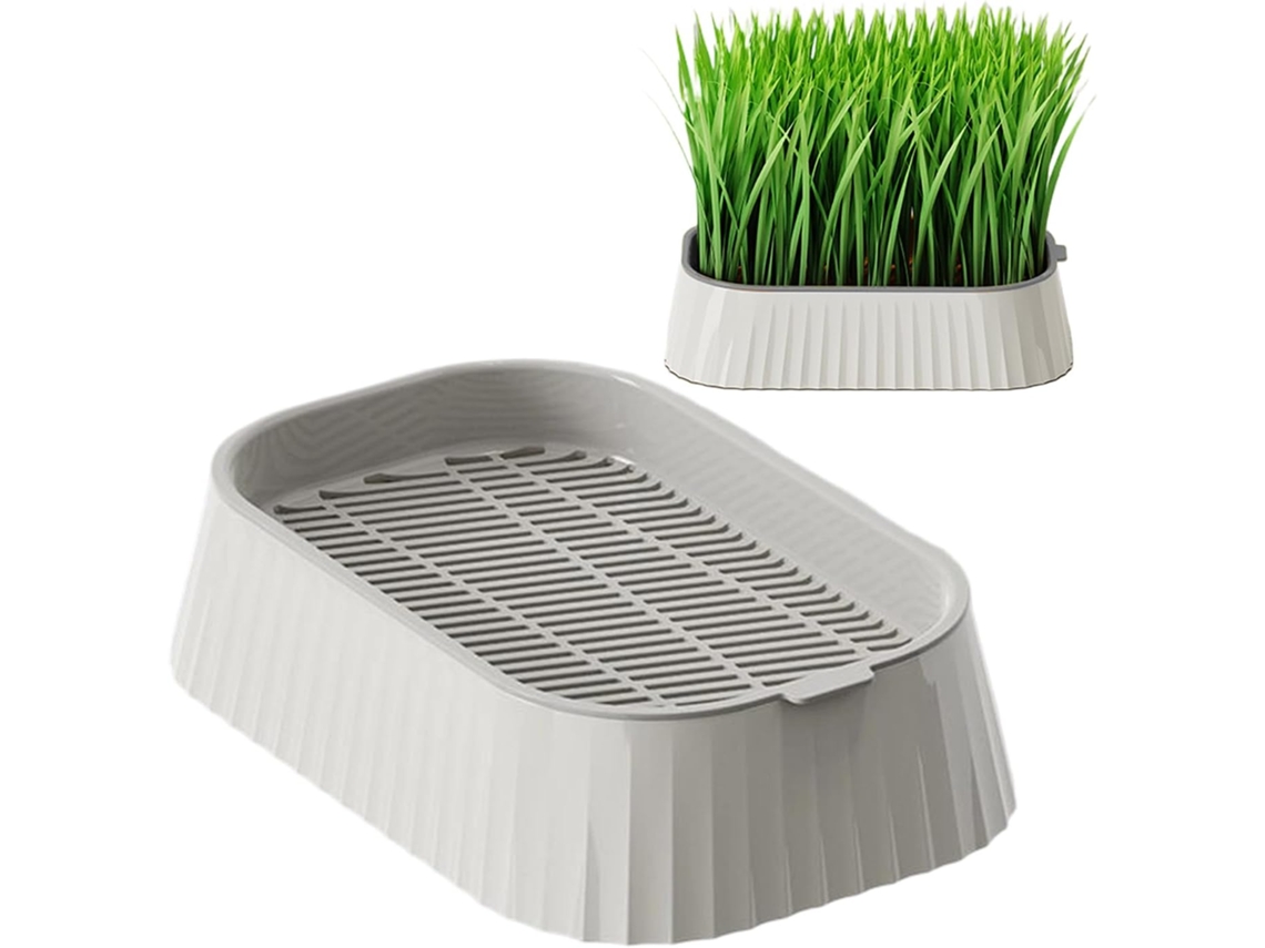 Kit para Cultivo de Grama para Gatos Sem Solo, Bandeja de Plantio Removível e Reutilizável de 2 Níveis, Vaso para CHABERLU