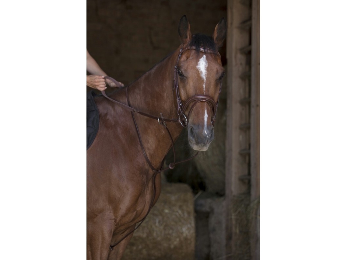 Ring Martingale NORTON PRO