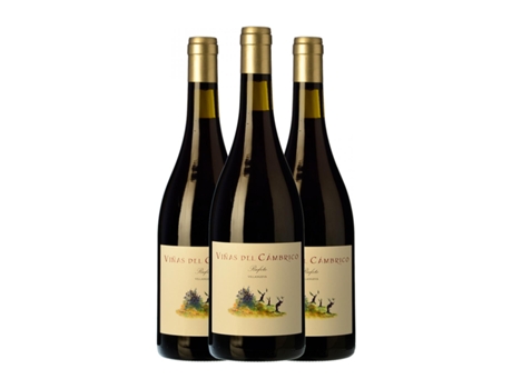 Vinho CÁMBRICO Viñas Villanueva Vino de la Tierra de Castilla y León (0.75 L - 3 Unidades)