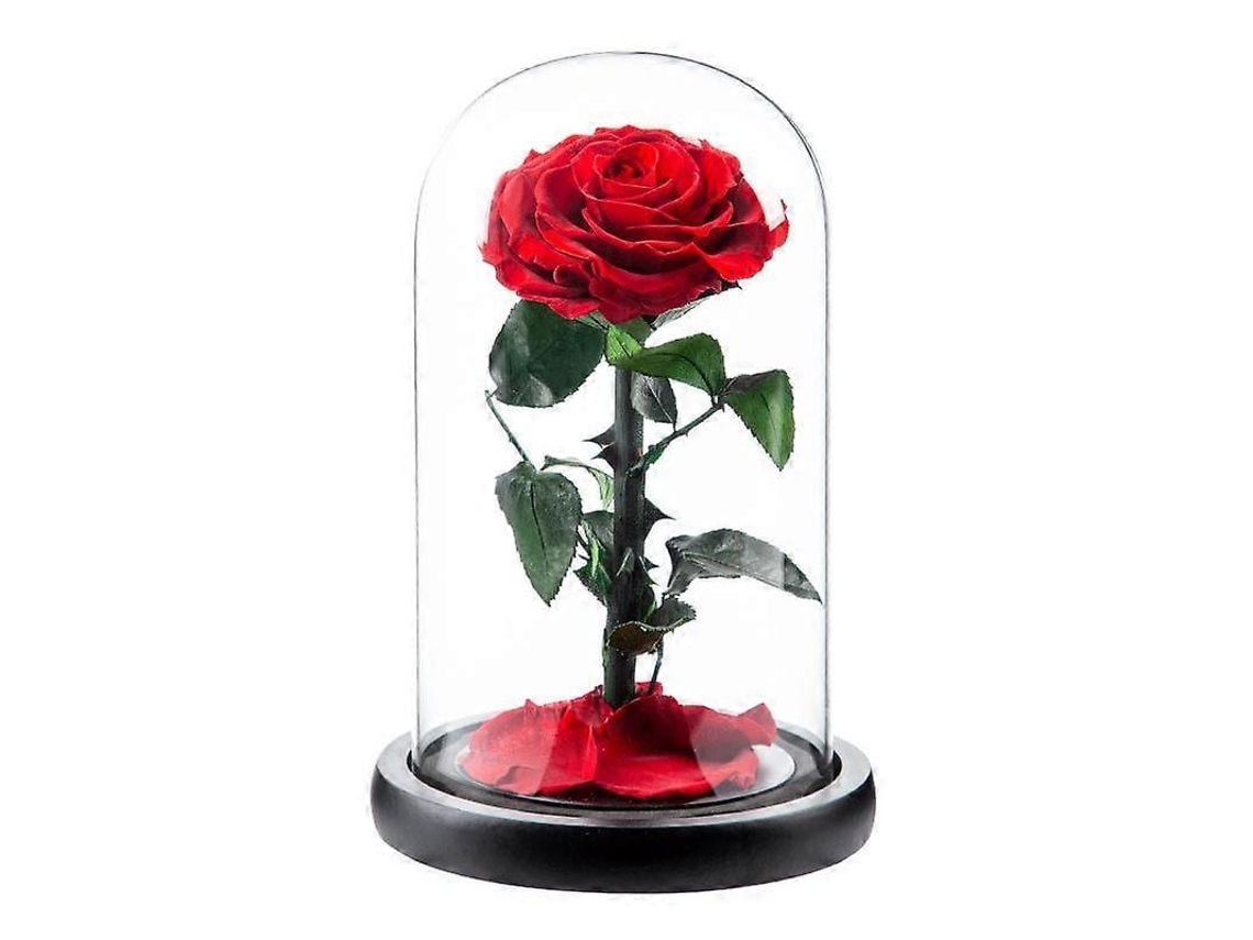Presente De Rosa Preservada, Presentes Para Mãe No Dia Das Mães