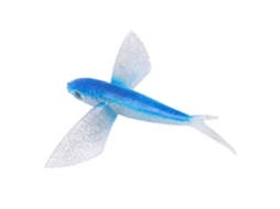 Isca Artificial Peixe Voador Silicone Azul para Pesca Marítima
